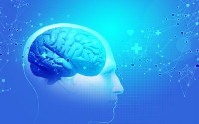 How Your IT System is Like the Human Body